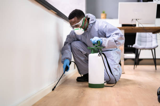 Emergency Pest Control Services in Ocean Springs, MS